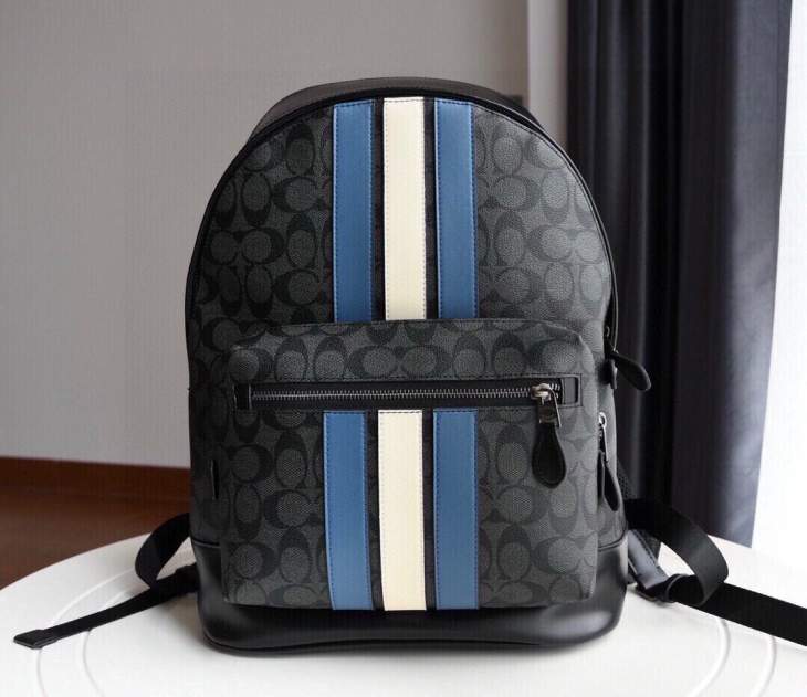 Picture of Coach Handbags _SKUfw240286257fw